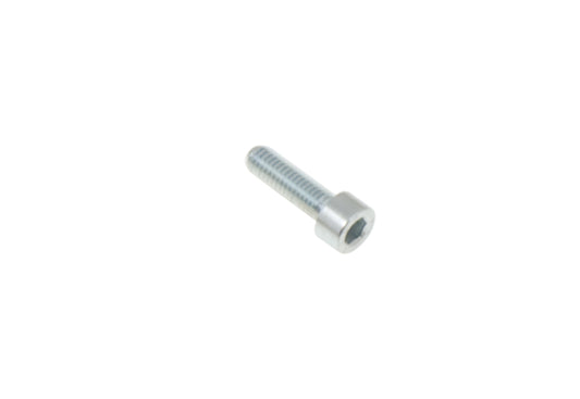 Cap Head screw 6x25 mm