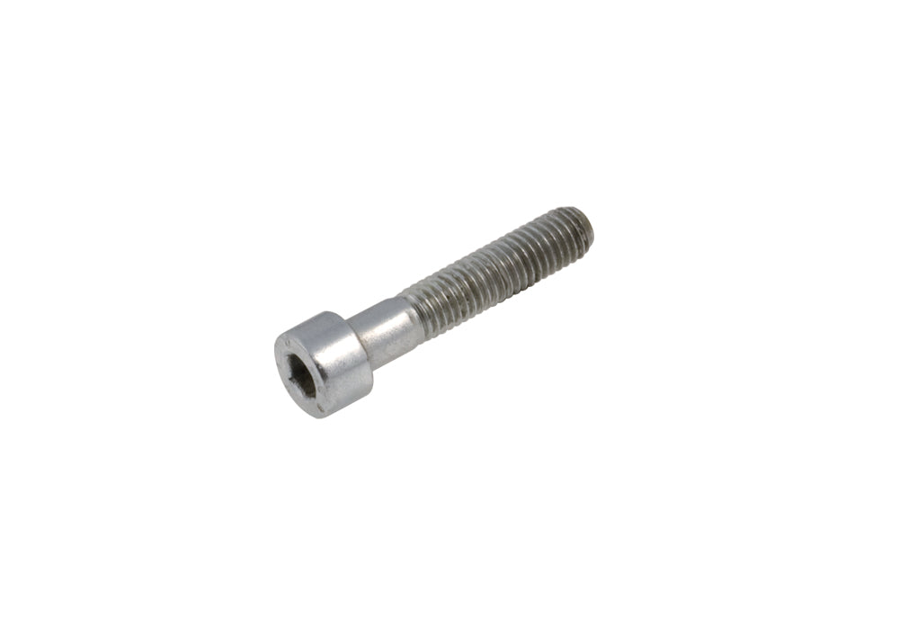 Cap Head screw 8x40 mm